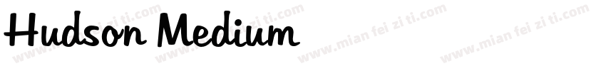 Hudson Medium字体转换